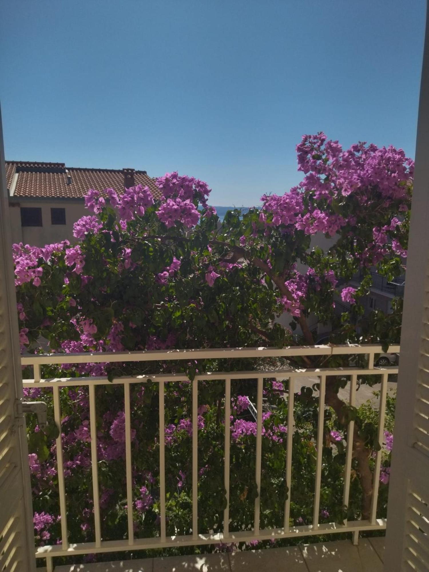 Apartmani Makarska Exterior foto